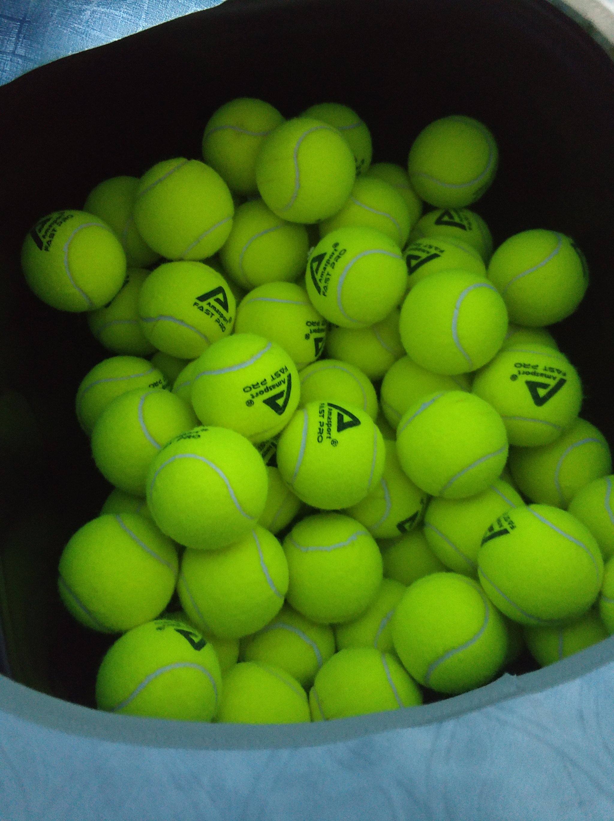 和现场观众 和现场观众