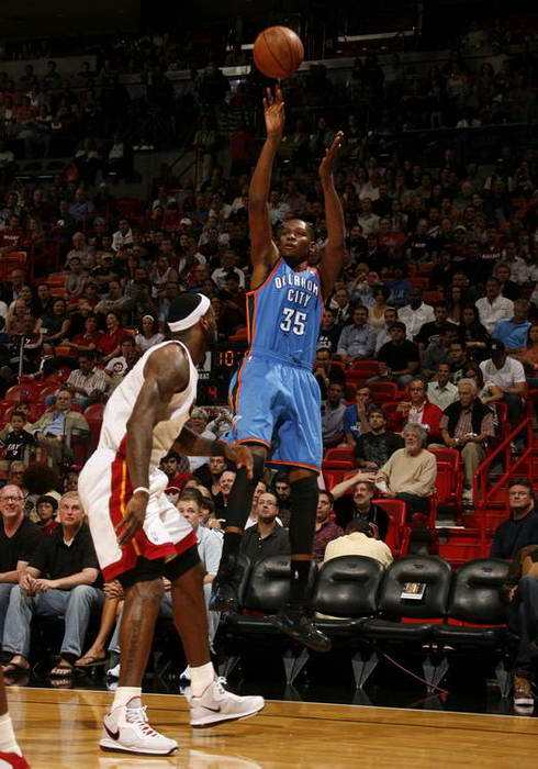 他们不仅提 他们不仅提