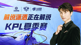 战略提供了 战略提供了