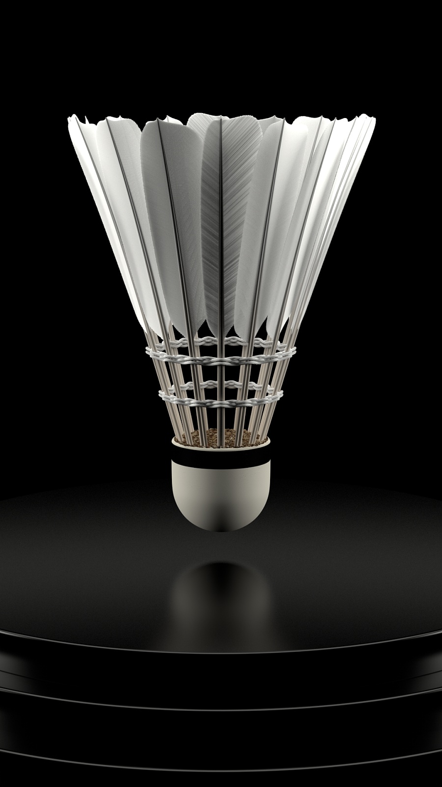 积分后获得 积分后获得